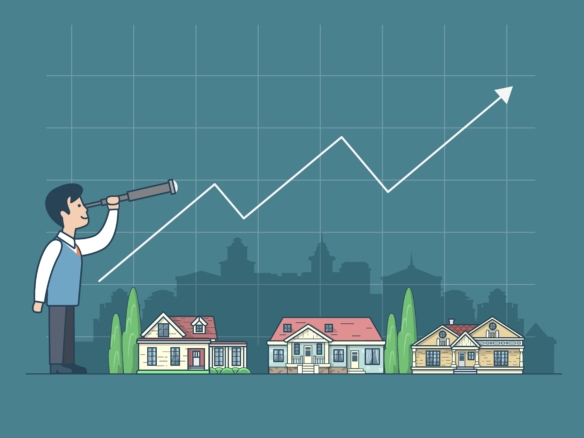 Why you should choose us ?